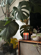 Load image into Gallery viewer, Atina Candle - Tomato & Mint Leaf