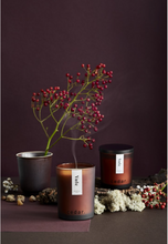 Load image into Gallery viewer, Standard Yule Essential Oil Candle
