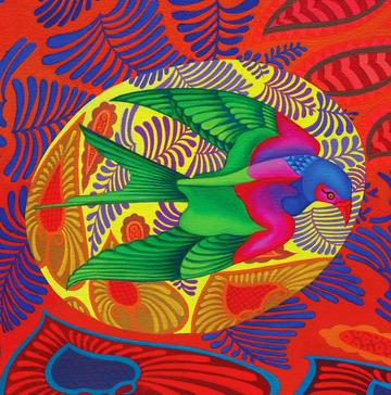 'Swallow-tailed kite'
